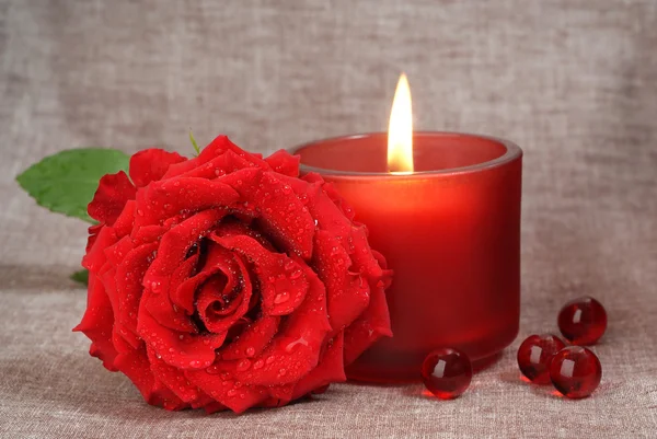 Rosa rossa e candela rossa — Foto Stock