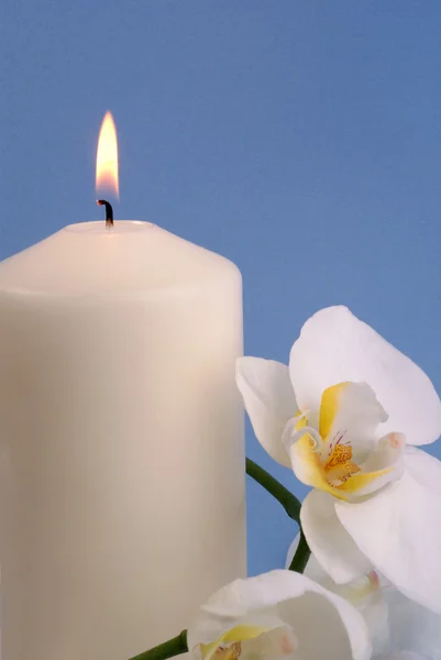 Svíčka a orchidej — Stock fotografie