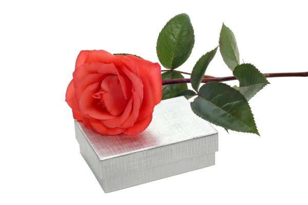 Scharlachrote Rose und silberne Schachtel — Stockfoto