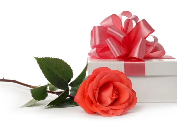 Rudé růže a bílé krabice — Stock fotografie
