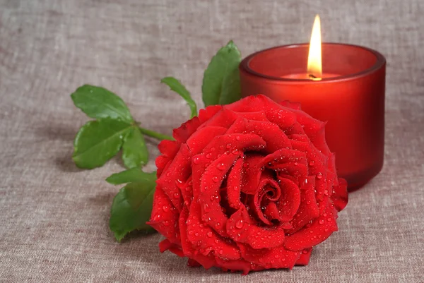 Červená růže a červená svíčka — Stock fotografie