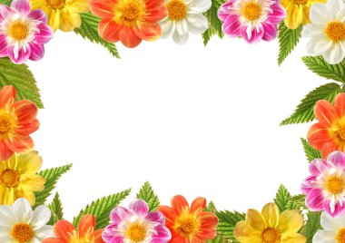 Framework from various flowers of dahlia clipart