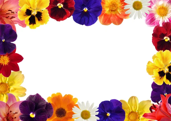 Rámec z různých květů — Stock fotografie