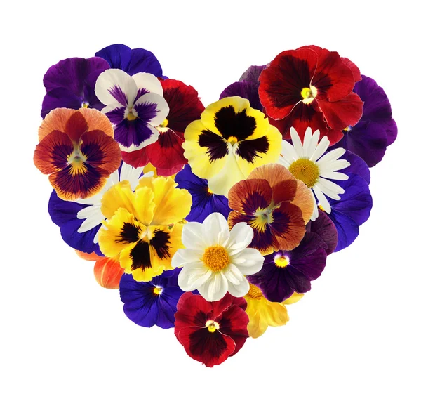 Srdce z různých květů na bílém zpět — Stock fotografie