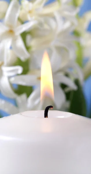 Свечи и гиацинты — стоковое фото