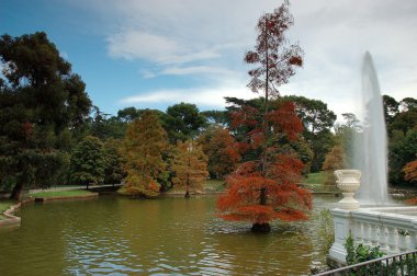 Sonbahar Parkı