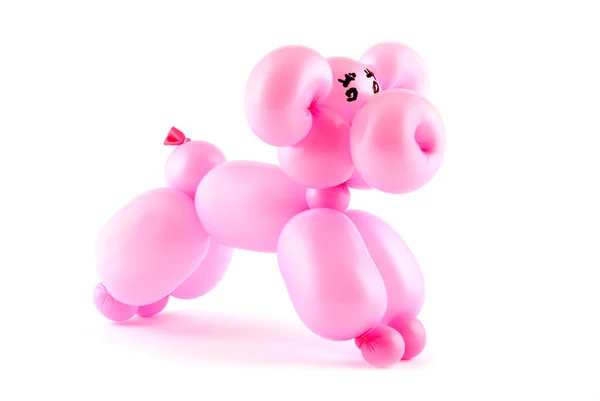 Balloon pig — Stock Photo, Image