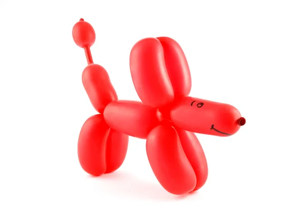 Ballongen hund Stockbild