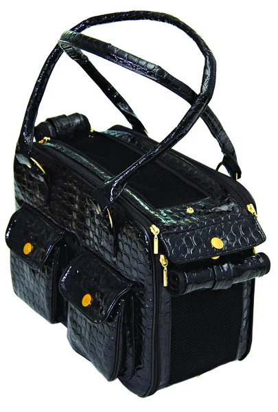 Siyah köpek çantası — Stok fotoğraf