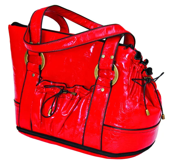 Röd väska för hund — Stockfoto