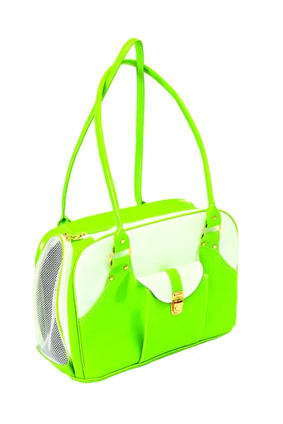 Zelená bílá taška pro psa — Stock fotografie