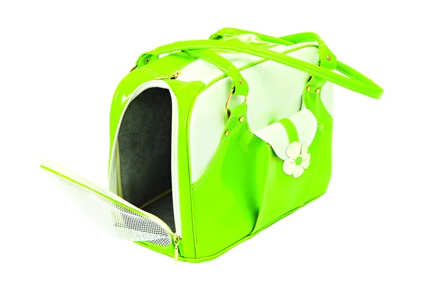 Zöld-fehér táska a kutya — Stock Fotó