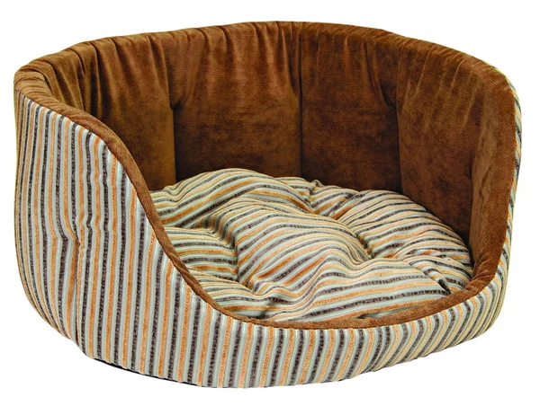 Dog sofa — Stock Photo, Image