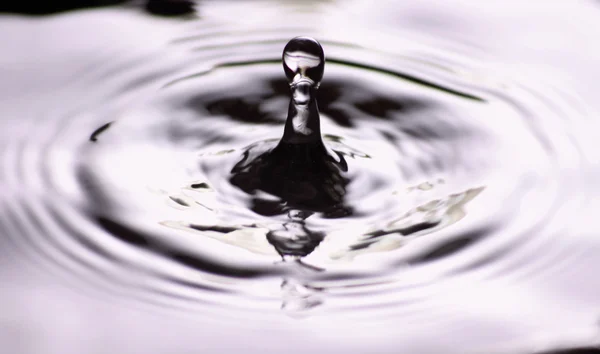 stock image Water drop