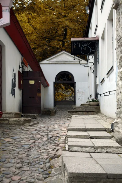 Luhike jalg, Tallinn — Stok fotoğraf