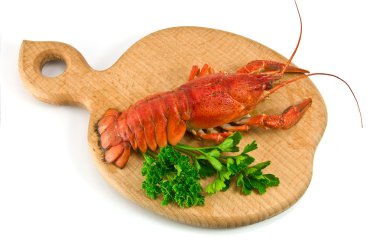 Lobster clipart