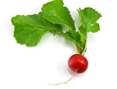 Fresh red radish isolated on a white bac clipart