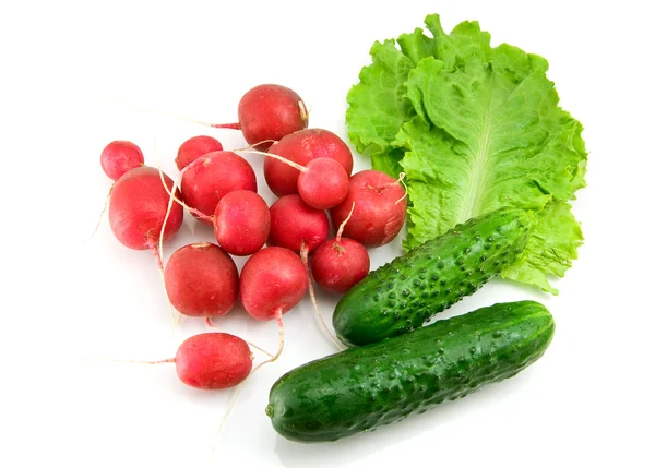Fresh red radish, cucumber and salad — Stock Photo, Image