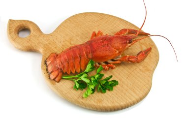 Lobster clipart