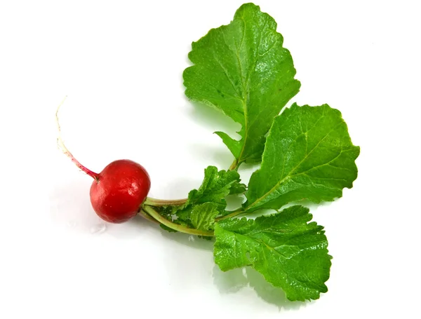Fresh red radish isolated on a white bac — Stock Photo, Image