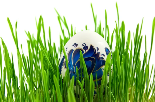 Easter eggs in green grass with white b — Stock Photo, Image