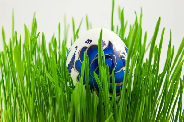 绿草与白广管局的复活节彩蛋 — 图库照片