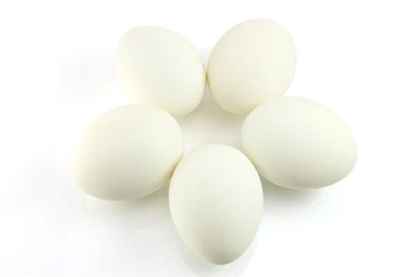 Beyaz arkaplanda yumurta — Stok fotoğraf