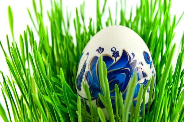 Paskalya yumurta beyaz ba ile yeşil çimen — Stok fotoğraf