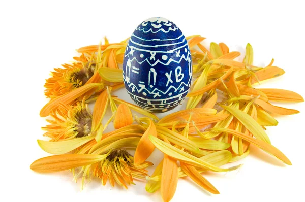 Huevo de Pascua sobre fondo blanco — Foto de Stock