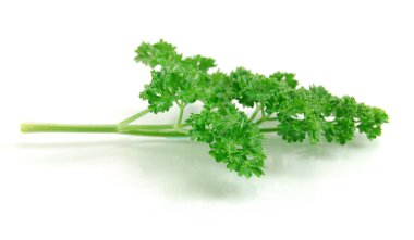 Fresh Parsley clipart