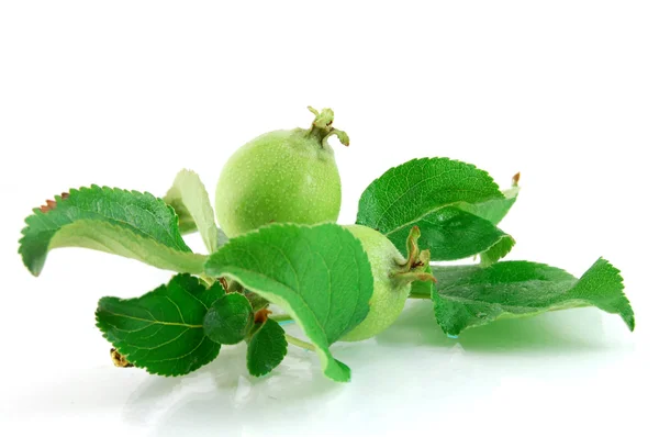 Jabłko z liści na białym tle — Zdjęcie stockowe