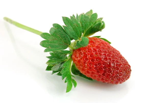 Stock image Strawberry isolated on white background