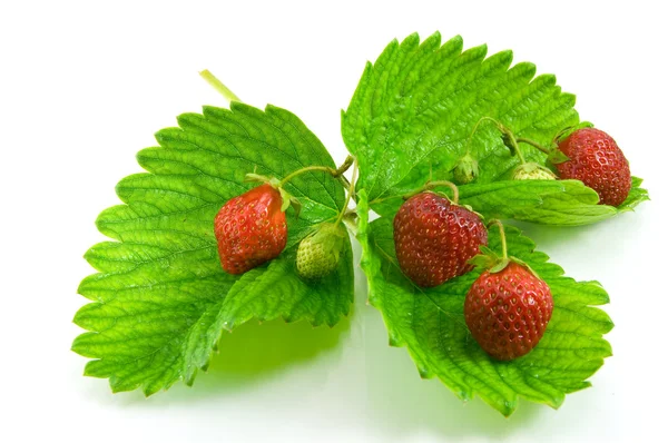 stock image Strawberry isolated on white background