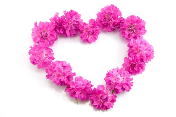 심장의 모양에 핑크 꽃 — 스톡 사진
