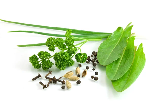 Groenen en specerijen geïsoleerd op de witte — Stockfoto