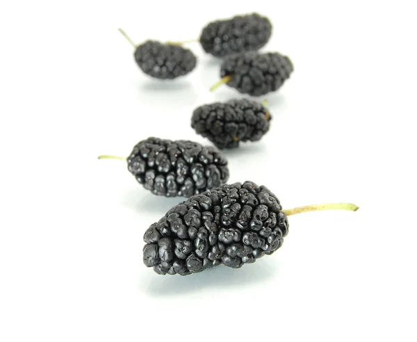 stock image Black mulberries isolated on white backg