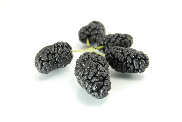 Black mulberries isolated on white backg — Stock Photo, Image