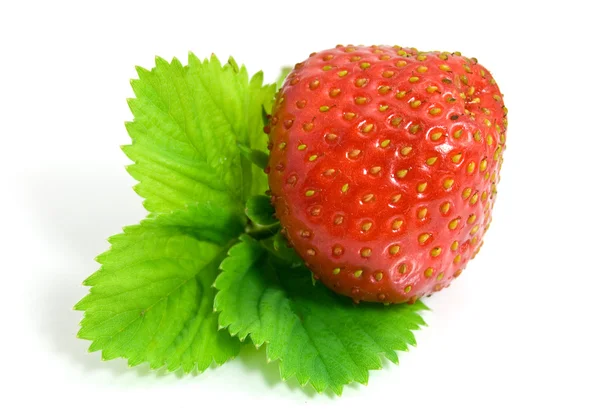 stock image Strawberry isolated on white background