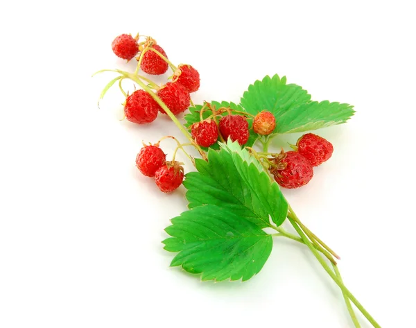 stock image Strawberry isolated on white background