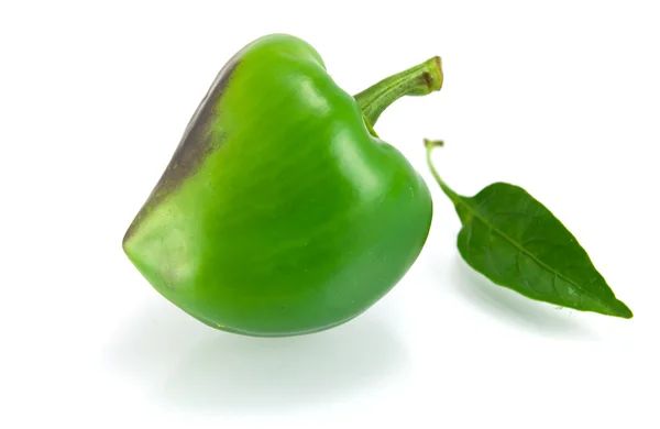Groene zoete peper op een witte achtergrond — Stockfoto