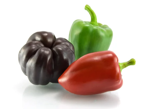 Červené, zelené a fialové papriky na — Stock fotografie