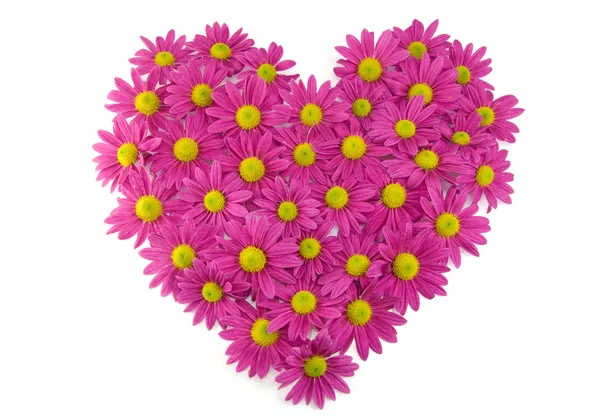 Flores cor de rosa em forma de coração — Fotografia de Stock