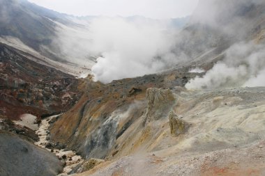 mutnovskaya volkan. Kamçatka.