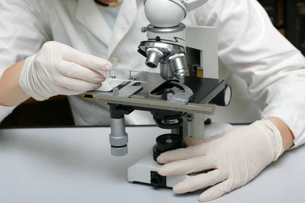 科学者および顕微鏡 — ストック写真