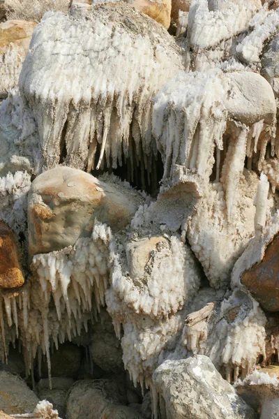 Ölü Deniz. tuz. — Stok fotoğraf