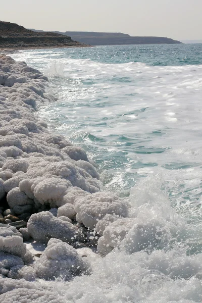 Mar morto — Fotografia de Stock
