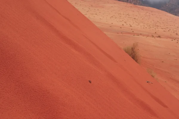 Vadi 럼 사막. — 스톡 사진