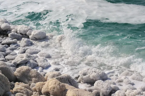Мертвое море Стоковое Фото