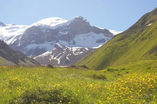 Montanhas Cáucaso Imagem De Stock