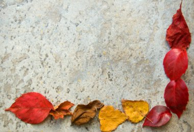 Fall leaves frame on grey clipart